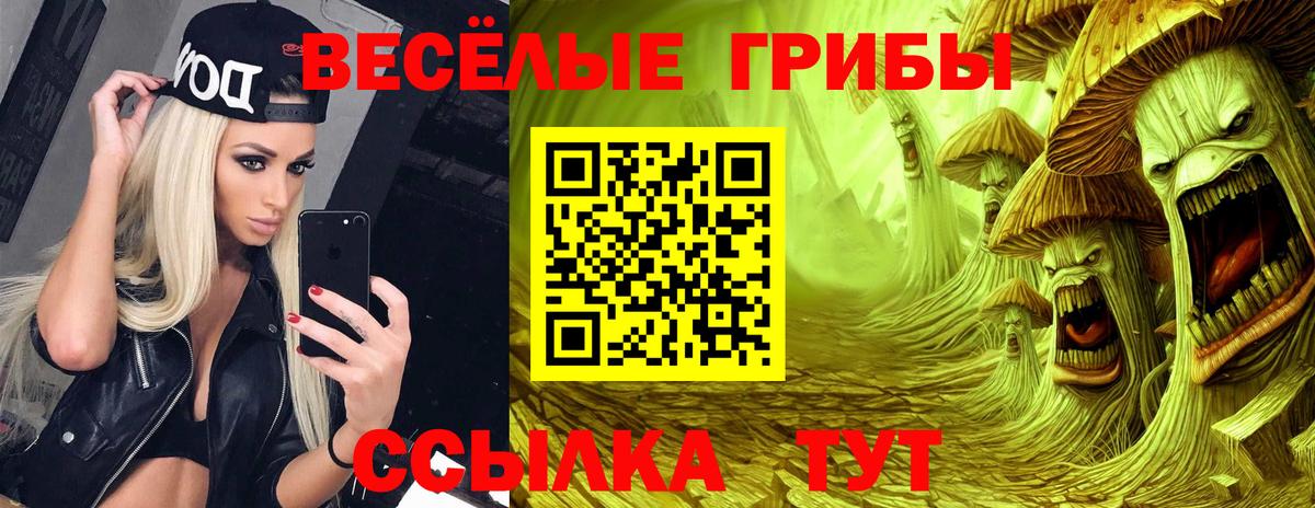 Галлюциногенные грибы Psilocybine cubensis Лосино-Петровский
