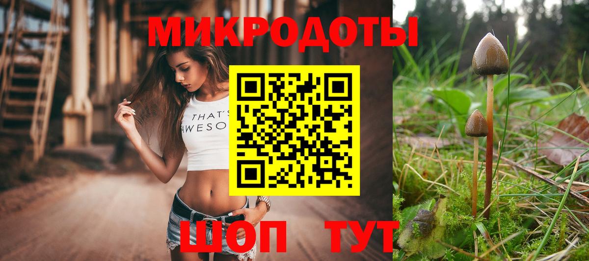 Псилоцибиновые грибы Cubensis  Вход с VPN  Лосино-Петровский 